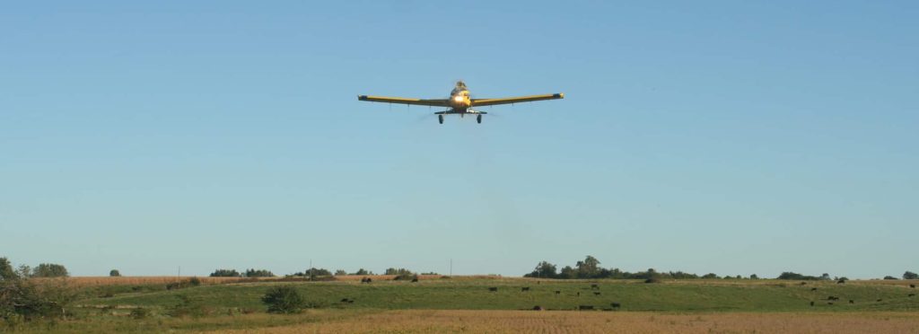 Custom seed blending and services across Iowa by Iowa Crop Cover in Jefferson, IA.